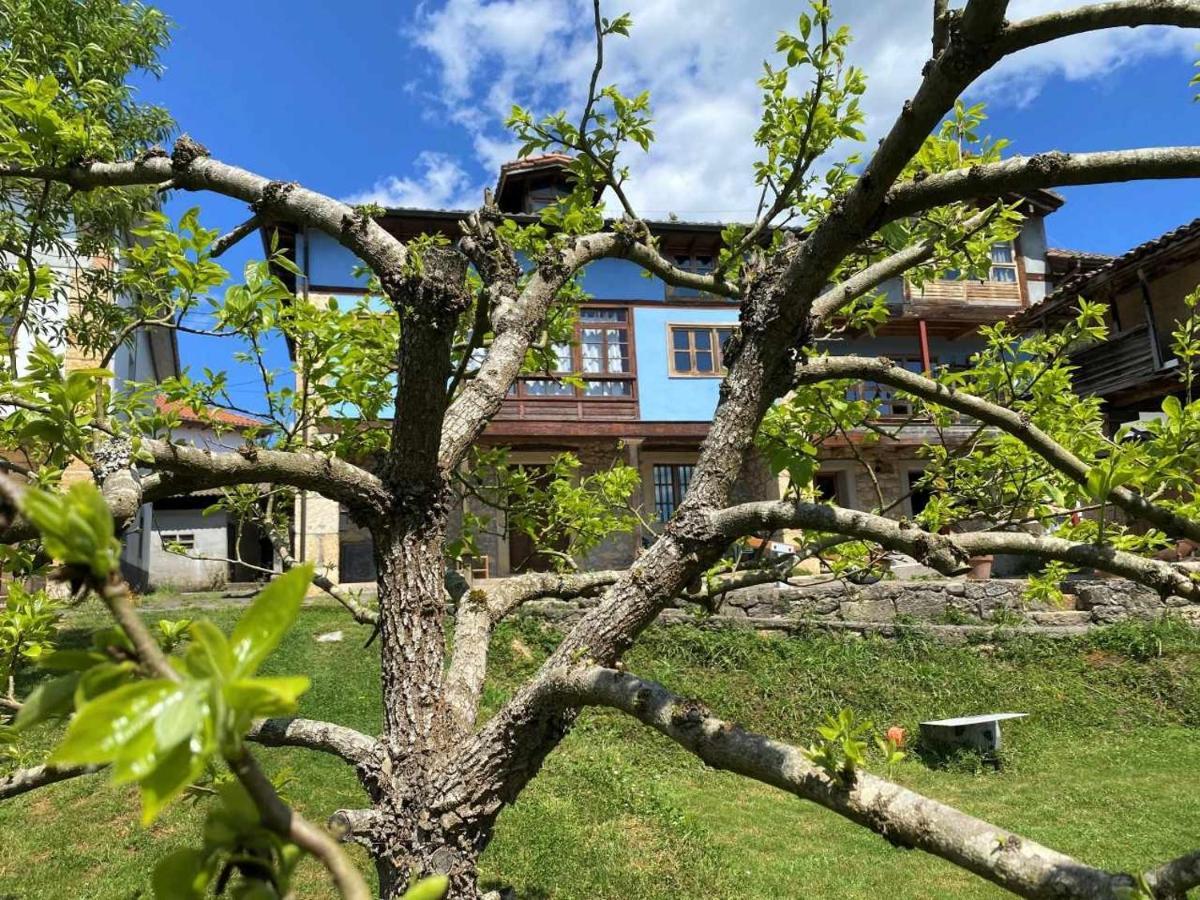 Casa Rural El Bohio Arriondas Εξωτερικό φωτογραφία